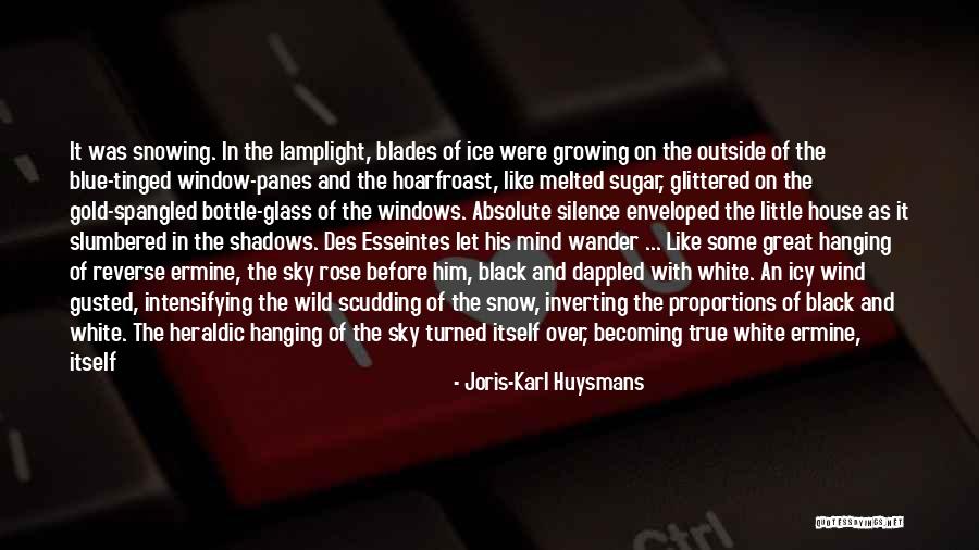 Blue Bottle Quotes By Joris-Karl Huysmans Blue Bottle Quotes By Joris-Karl Huysmans