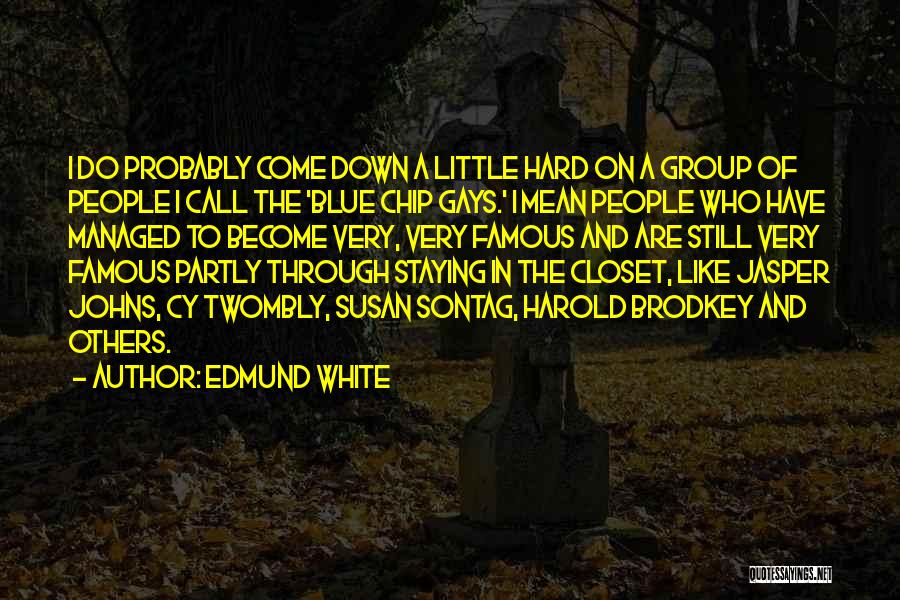 Blue Chip Quotes By Edmund White