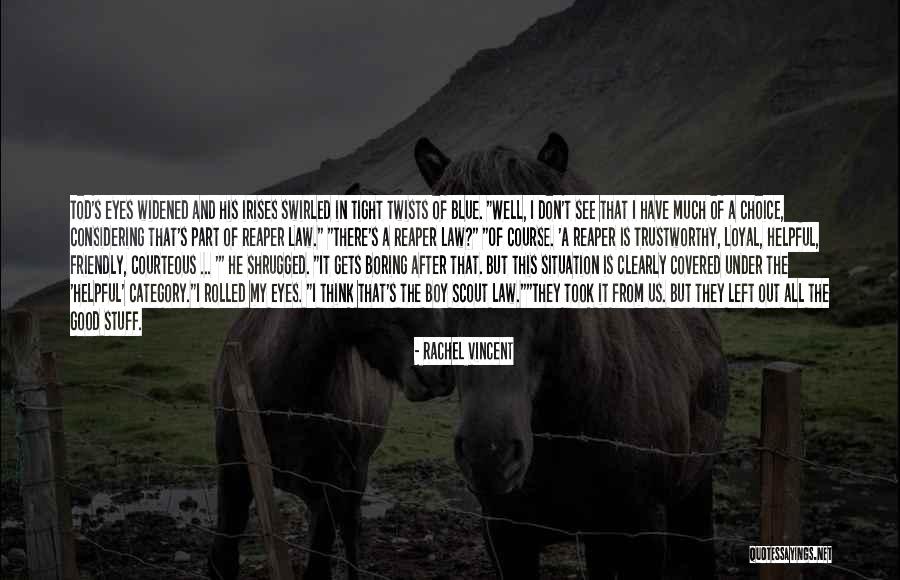 Blue Choice Quotes By Rachel Vincent Blue Choice Quotes By Rachel Vincent