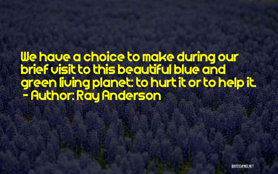 Blue Choice Quotes By Ray Anderson