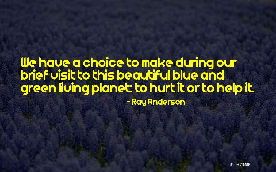 Blue Choice Quotes By Ray Anderson Blue Choice Quotes By Ray Anderson