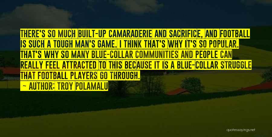 Blue Collar Man Quotes By Troy Polamalu