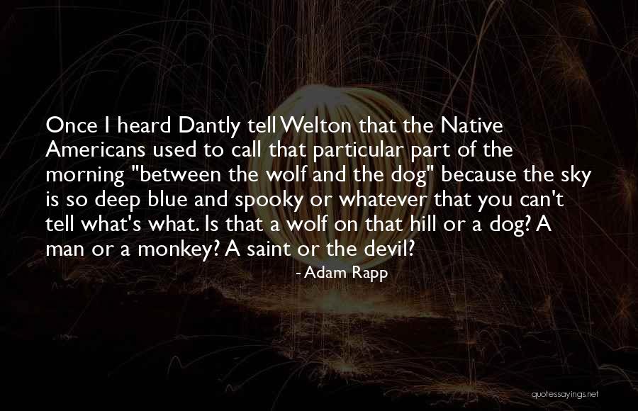 Blue Devil Quotes By Adam Rapp Blue Devil Quotes By Adam Rapp