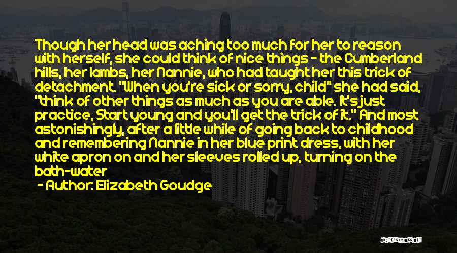 Blue Dress Quotes By Elizabeth Goudge