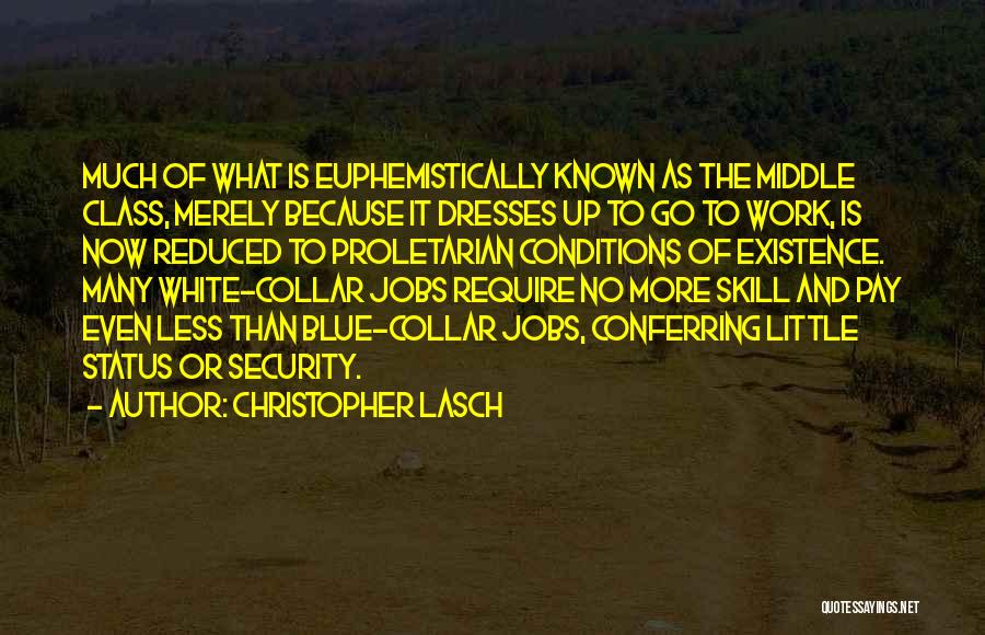 Blue Dresses Quotes By Christopher Lasch