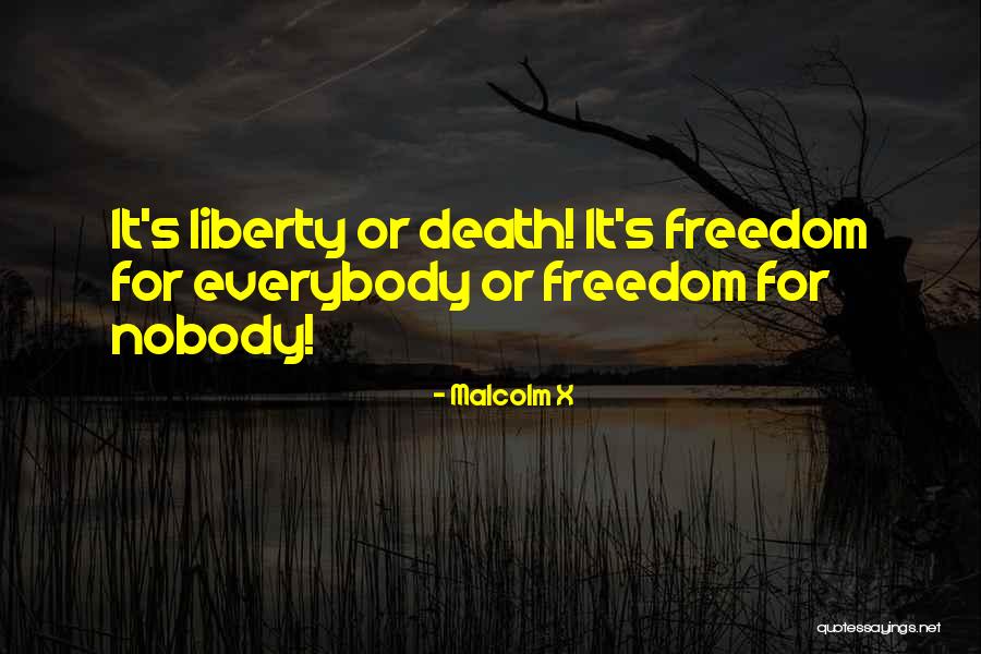 Blue Fairy Book Quotes By Malcolm X Blue Fairy Book Quotes By Malcolm X