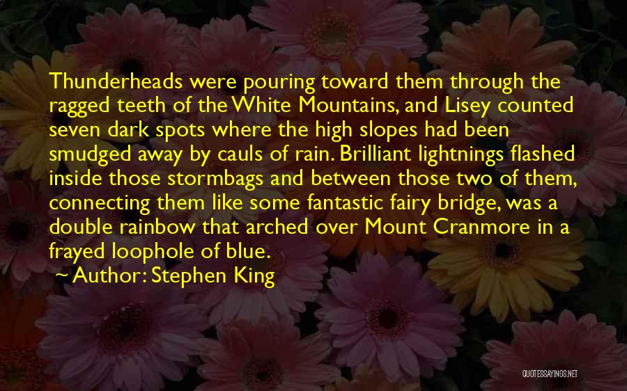 Blue Fairy Quotes By Stephen King