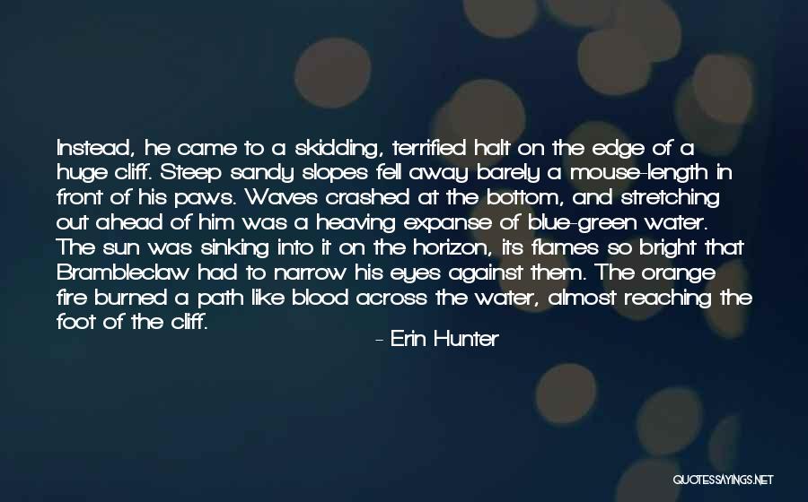 Blue Fire Quotes By Erin Hunter