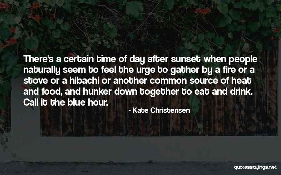 Blue Fire Quotes By Kate Christensen