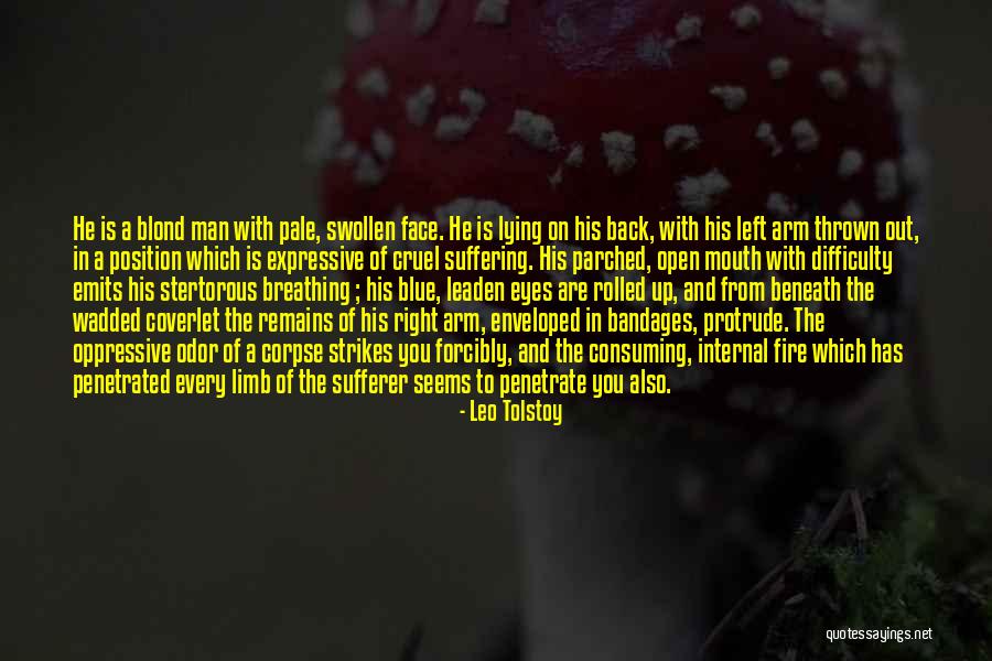 Blue Fire Quotes By Leo Tolstoy