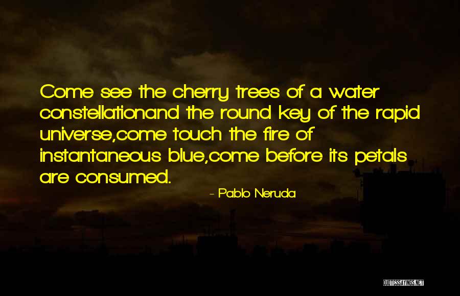 Blue Fire Quotes By Pablo Neruda