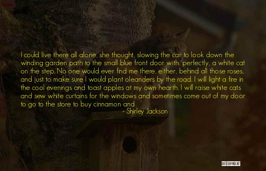 Blue Fire Quotes By Shirley Jackson