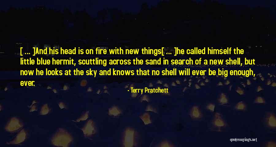 Blue Fire Quotes By Terry Pratchett