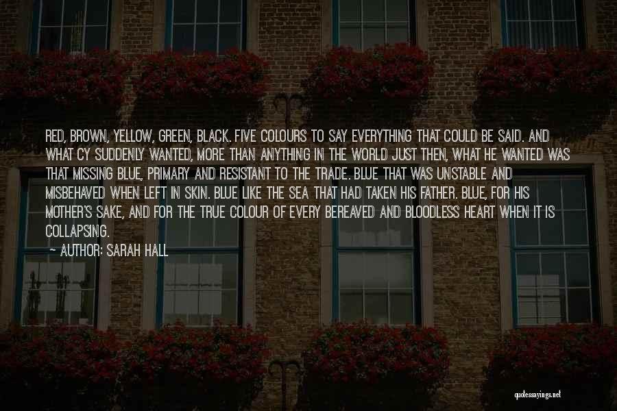 Blue Green Quotes By Sarah Hall