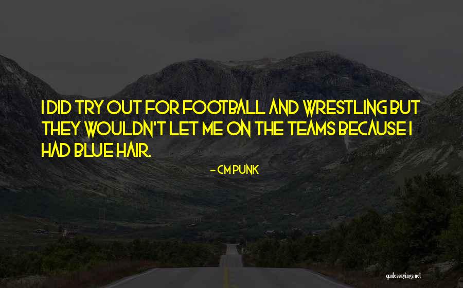 Blue Hair Quotes By CM Punk Blue Hair Quotes By CM Punk