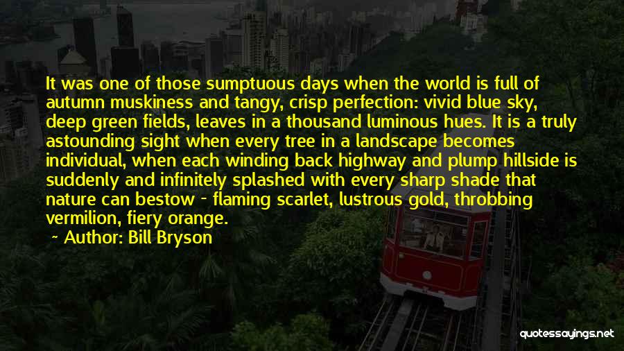 Blue Highway Quotes By Bill Bryson