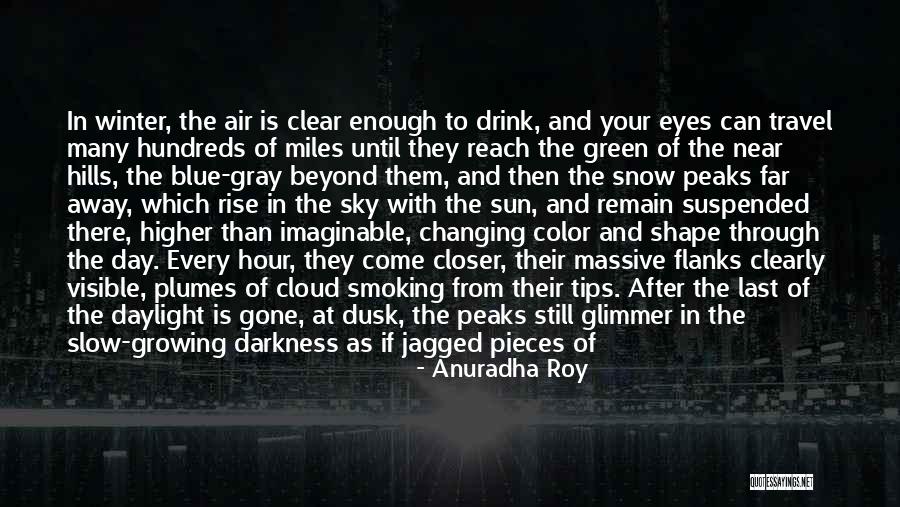 Blue Hour Quotes By Anuradha Roy