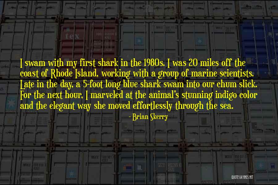 Blue Hour Quotes By Brian Skerry