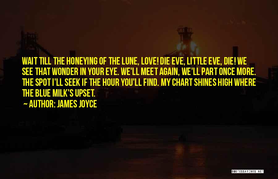 Blue Hour Quotes By James Joyce
