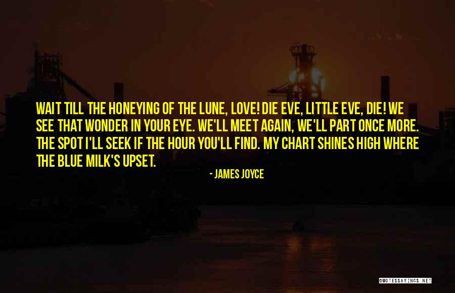 Blue Hour Quotes By James Joyce