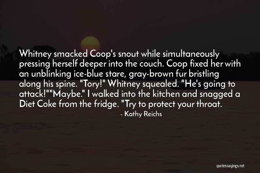 Blue Ice Quotes By Kathy Reichs Blue Ice Quotes By Kathy Reichs
