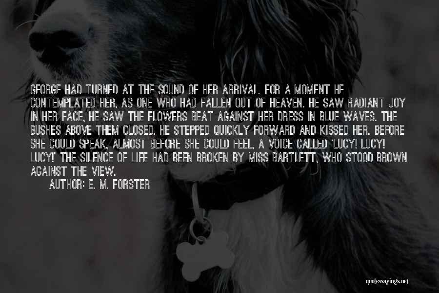 Blue In The Face Quotes By E. M. Forster