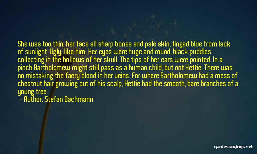 Blue In The Face Quotes By Stefan Bachmann