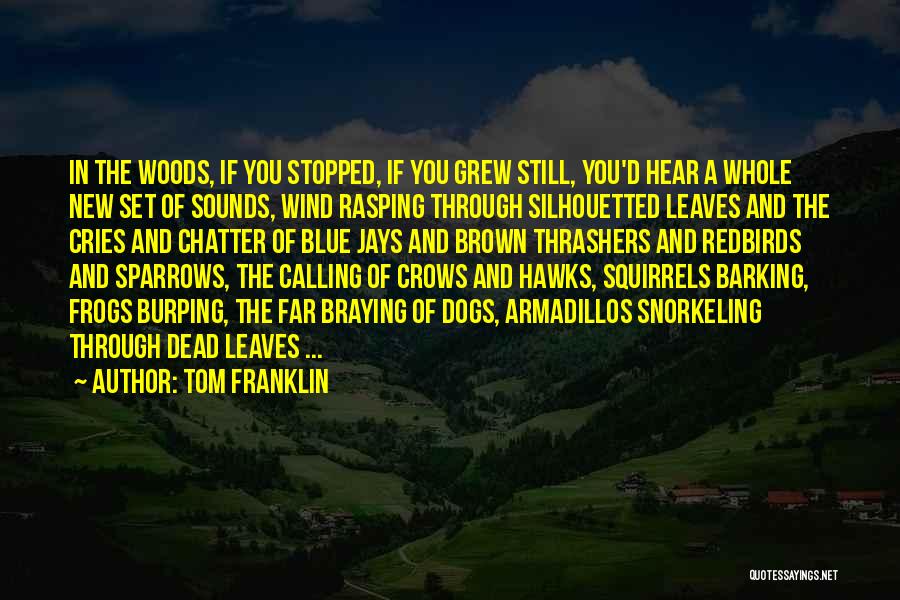 Blue Jays Quotes By Tom Franklin