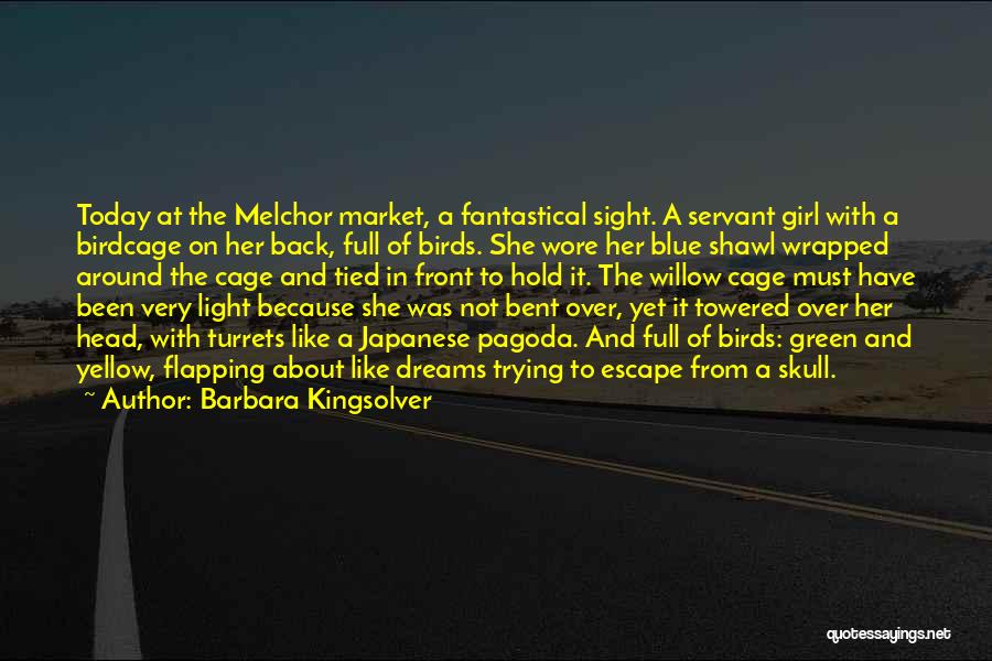 Blue Light Quotes By Barbara Kingsolver