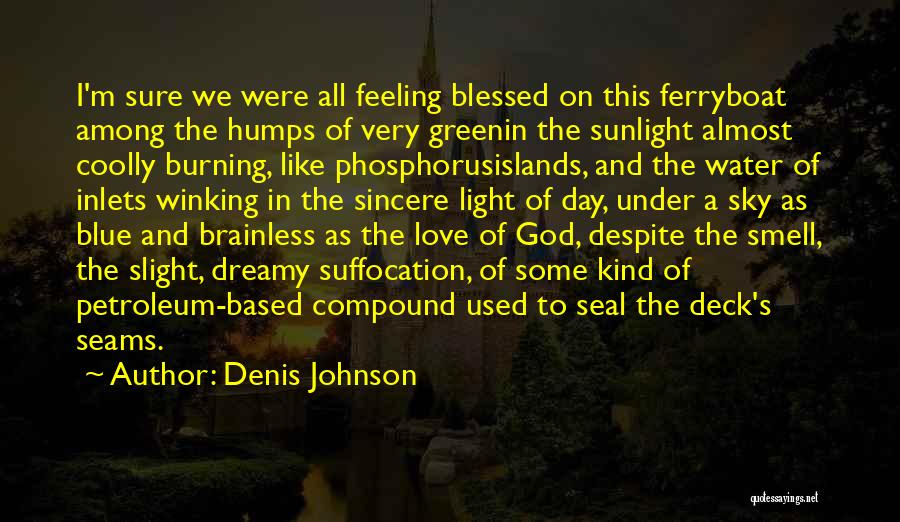 Blue Light Quotes By Denis Johnson