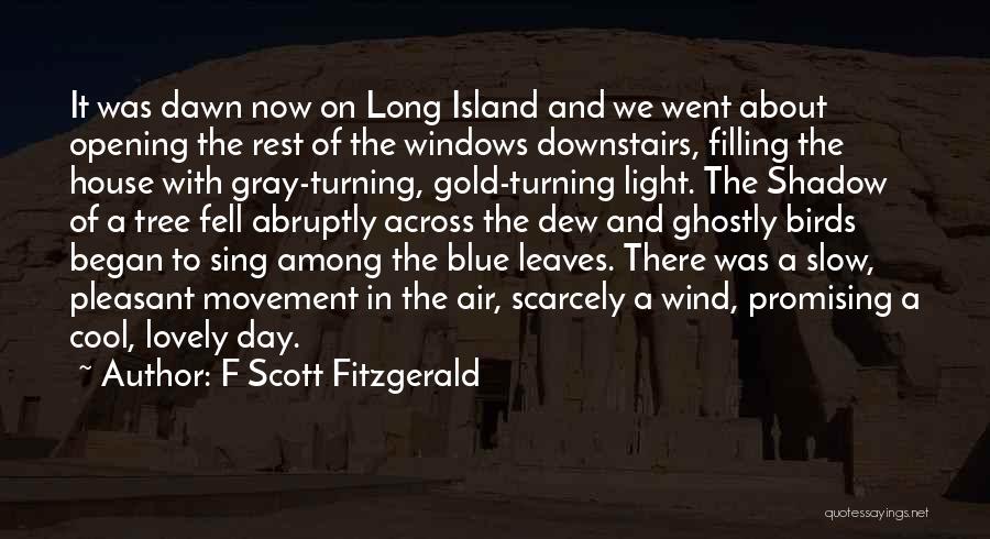 Blue Light Quotes By F Scott Fitzgerald