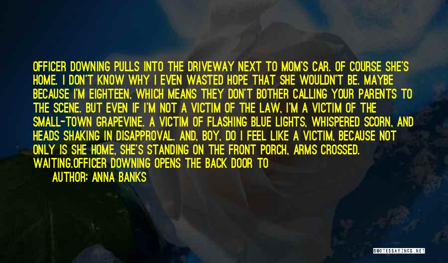 Blue Lights Quotes By Anna Banks