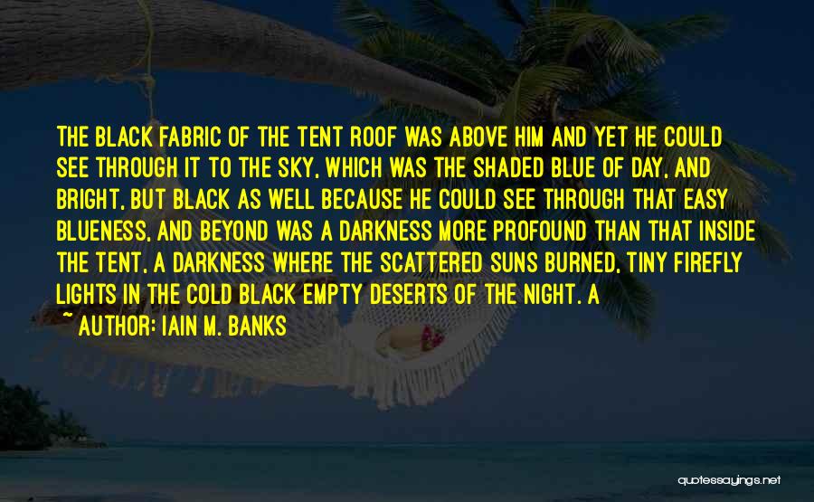 Blue Lights Quotes By Iain M. Banks