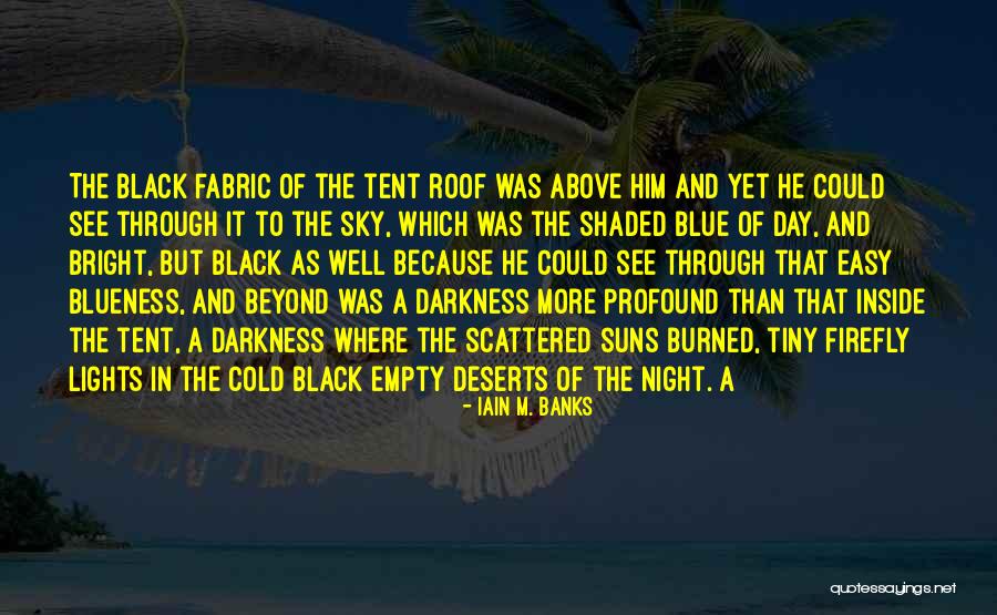 Blue Lights Quotes By Iain M. Banks