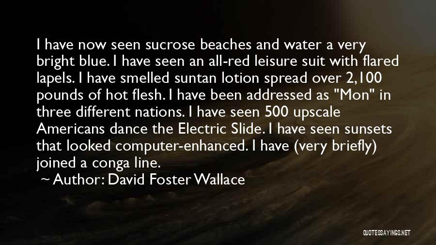 Blue Line Quotes By David Foster Wallace