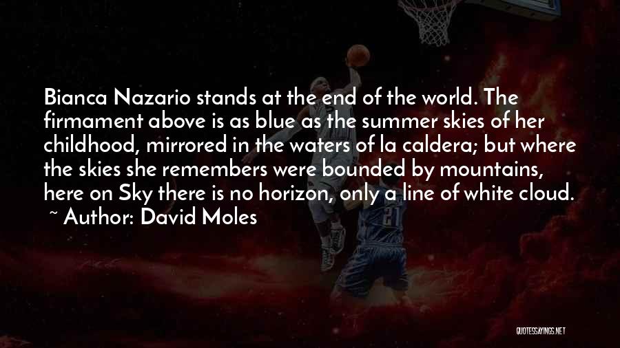 Blue Line Quotes By David Moles