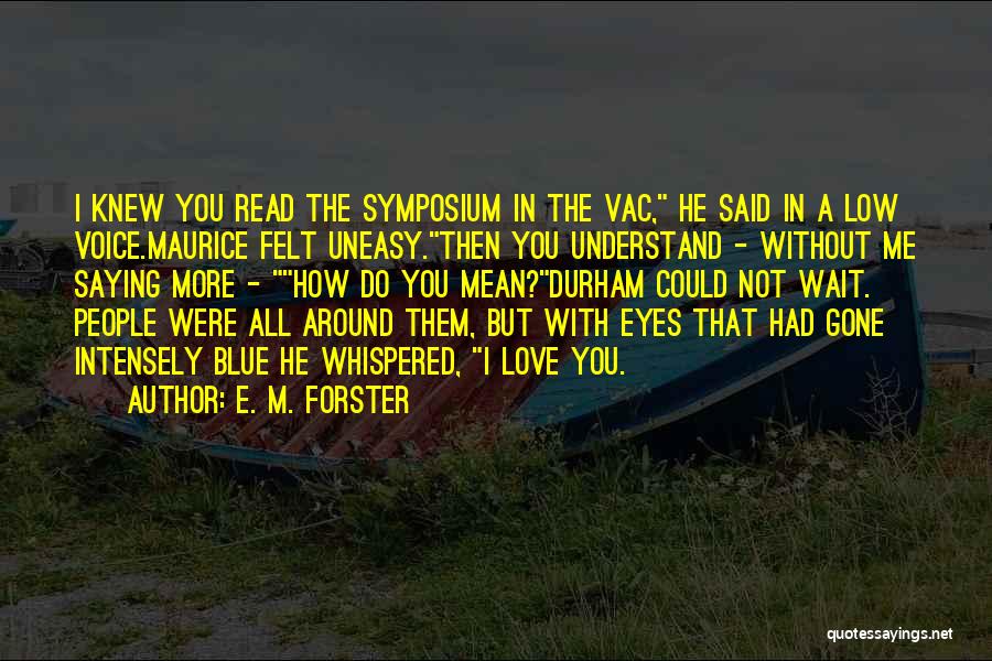 Blue M&m Quotes By E. M. Forster