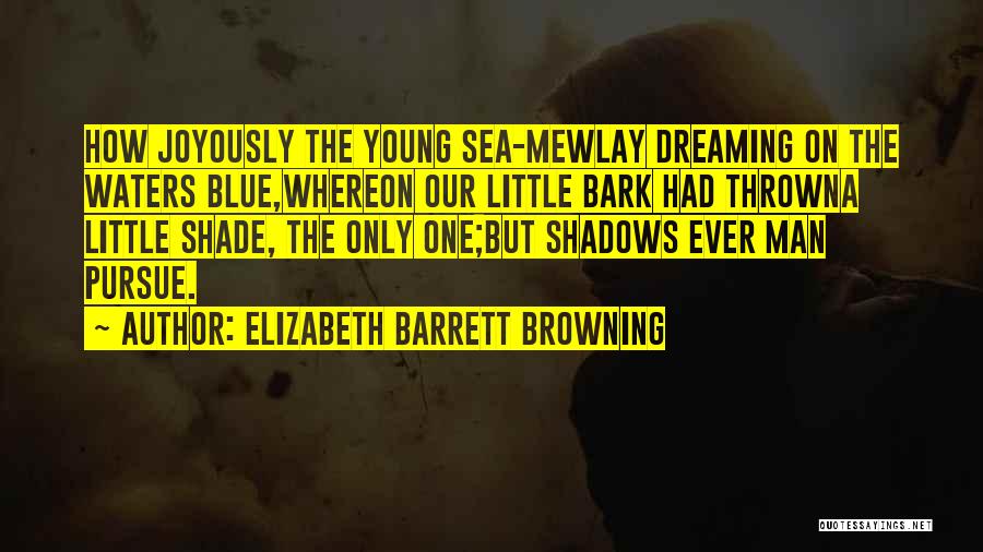 Blue Man Quotes By Elizabeth Barrett Browning