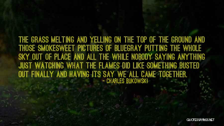 Blue Paws Matter Quotes By Charles Bukowski Blue Paws Matter Quotes By Charles Bukowski