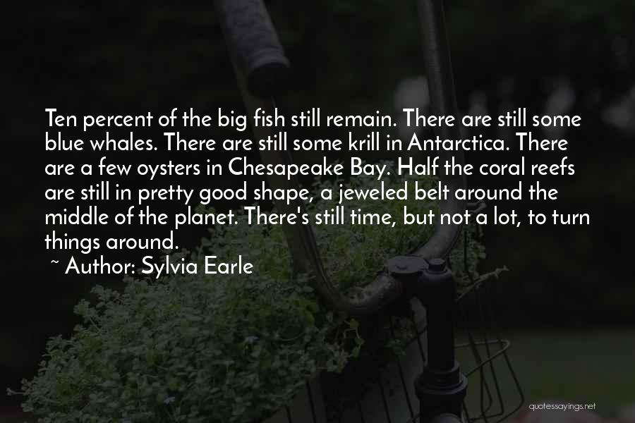 Blue Planet Quotes By Sylvia Earle