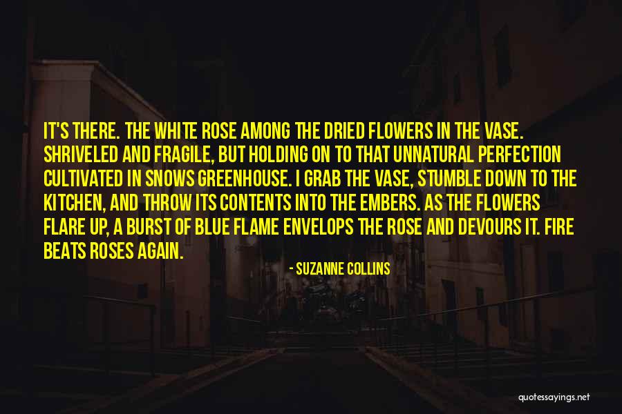 Blue Roses Quotes By Suzanne Collins