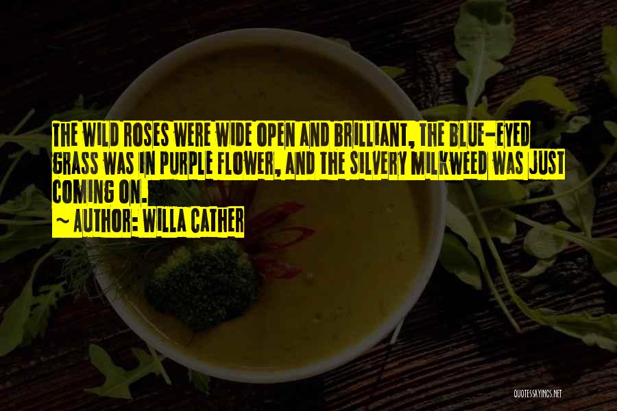 Blue Roses Quotes By Willa Cather