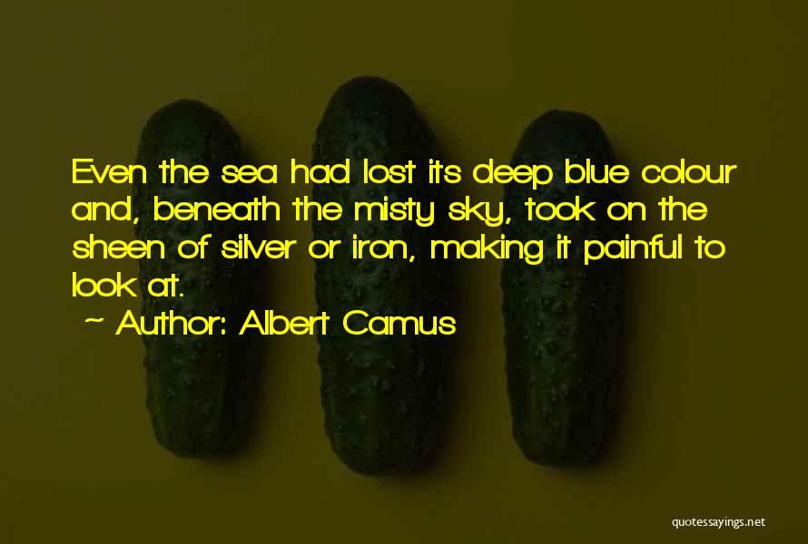 Blue Sea And Sky Quotes By Albert Camus