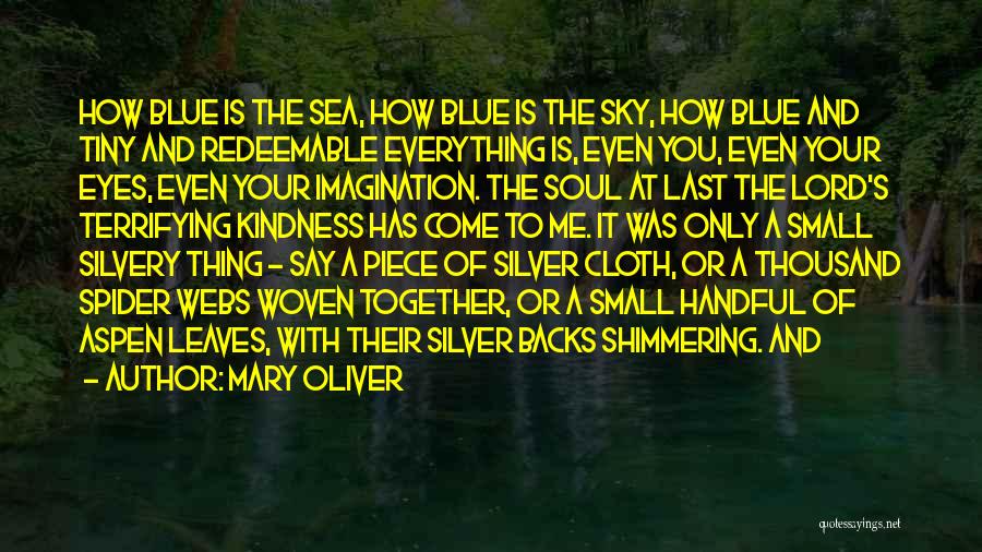 Blue Sea And Sky Quotes By Mary Oliver