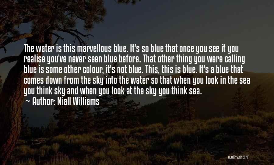 Blue Sea And Sky Quotes By Niall Williams