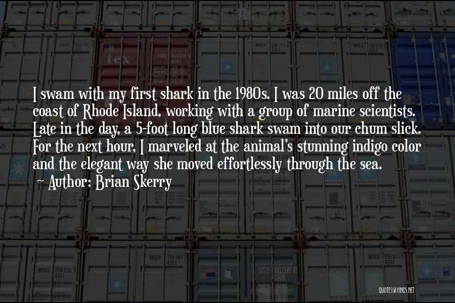 Blue Sea Quotes By Brian Skerry
