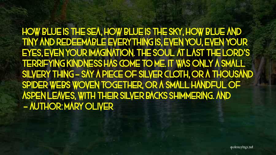 Blue Sea Sky Quotes By Mary Oliver