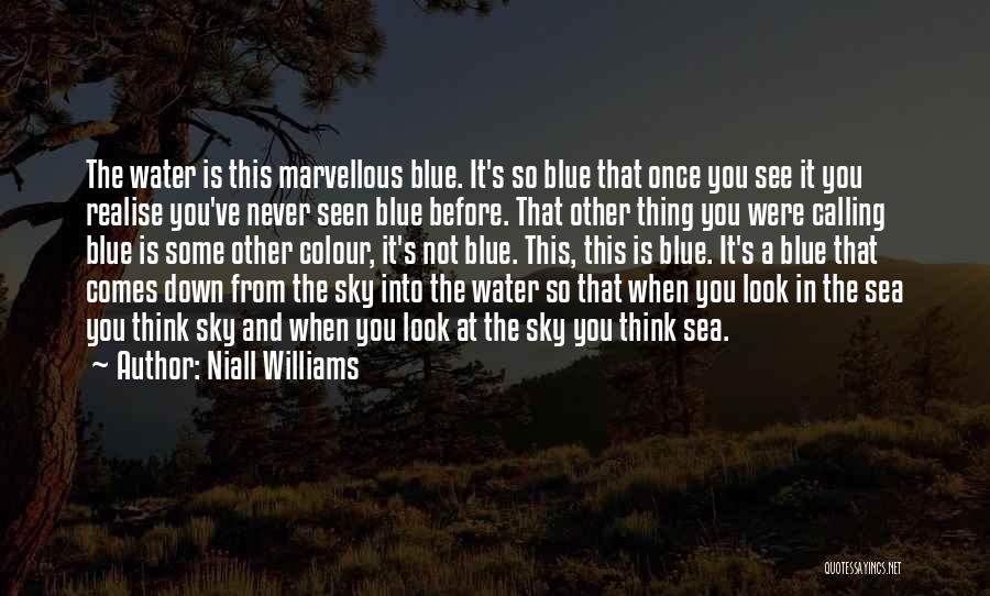 Blue Sea Sky Quotes By Niall Williams