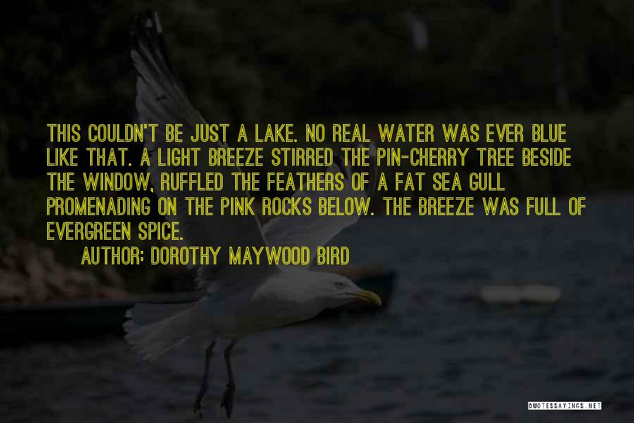 Blue Sea Water Quotes By Dorothy Maywood Bird
