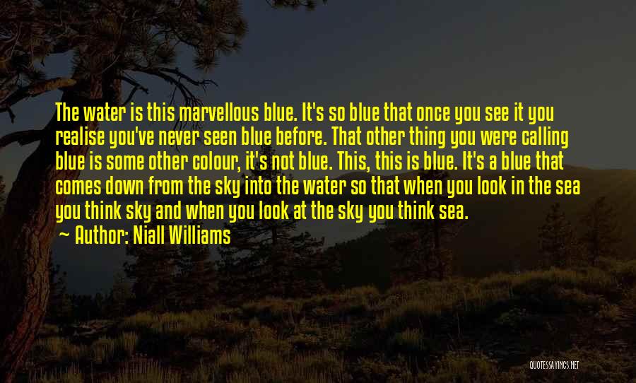 Blue Sea Water Quotes By Niall Williams